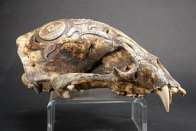 Dayak Skull